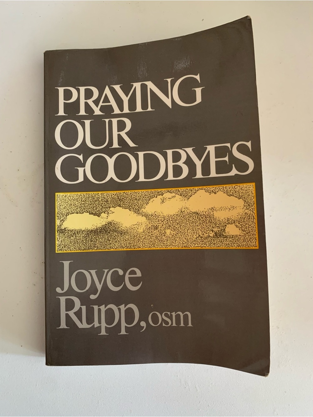 therapy Brown and White 'Praying Our Goodbyes' Book Cover